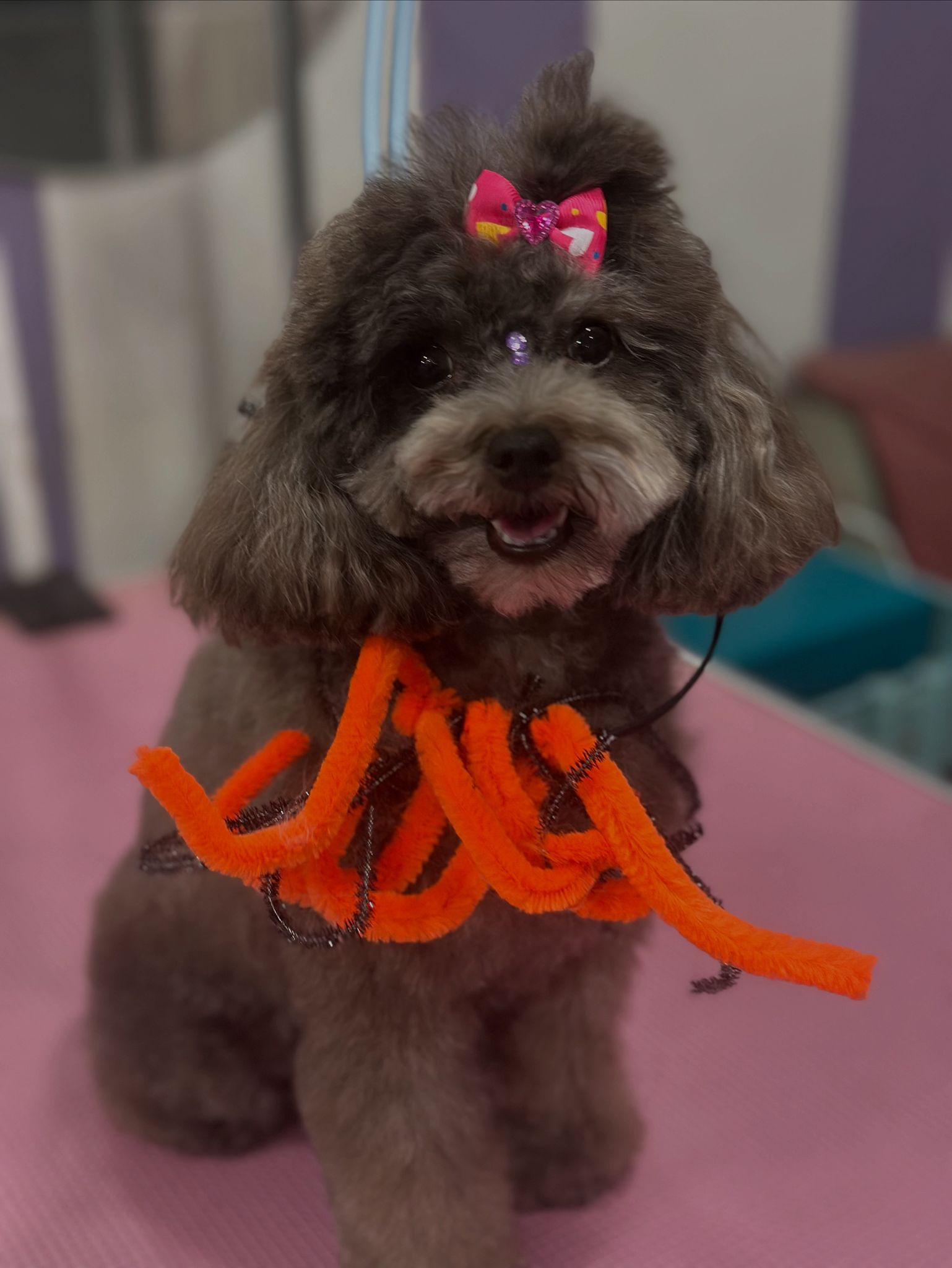 Imagen 5 de la galería